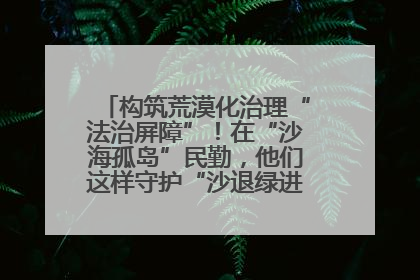 构筑荒漠化治理“法治屏障”！在“沙海孤岛”民勤，他们这样守护“沙退绿进”的生态奇迹